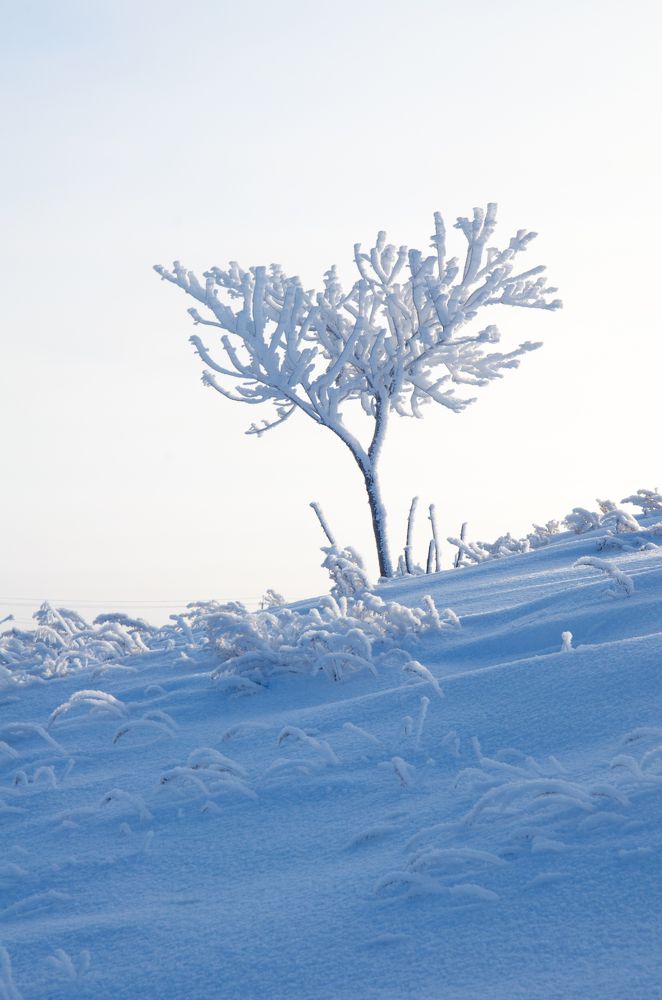Photograph by Савенко Кирилл