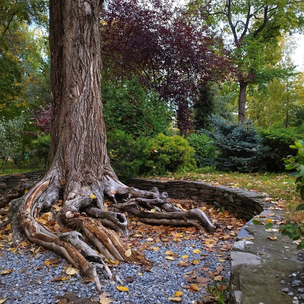 Photograph by Ирина Попелкова