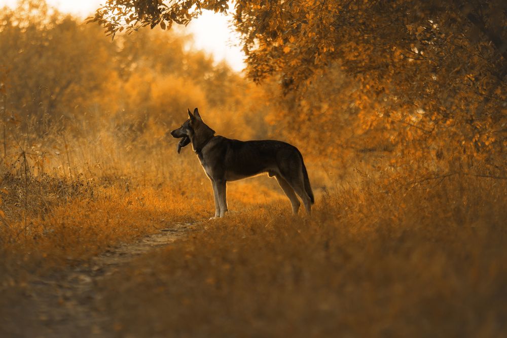 Photograph by Юлия Зубкова