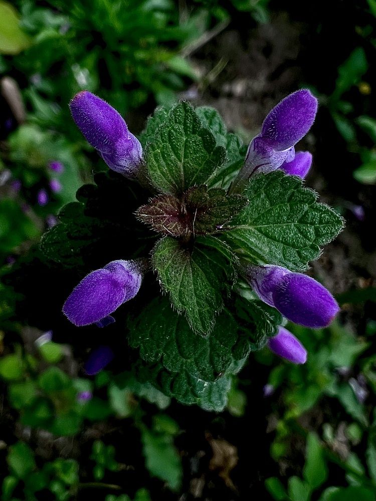 Photograph by Татьяна Зенина