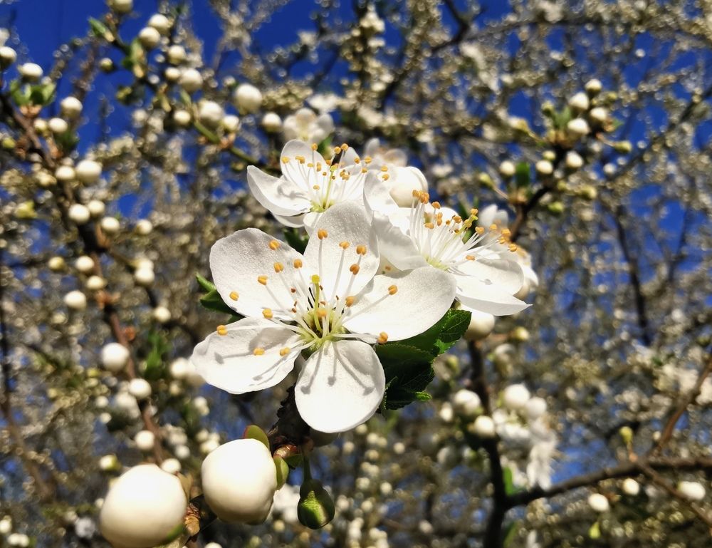 Photograph by Ева Мельникова