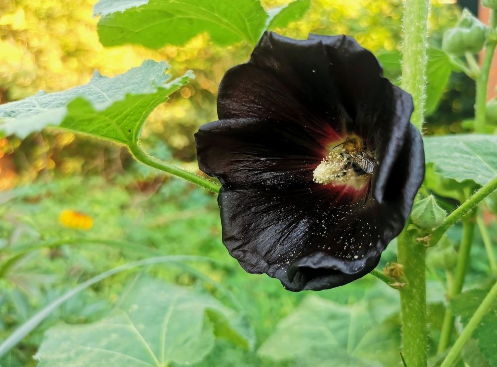 Photograph by Ева Мельникова