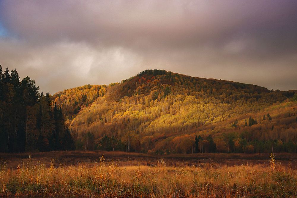 Photograph by Оксана Батракова