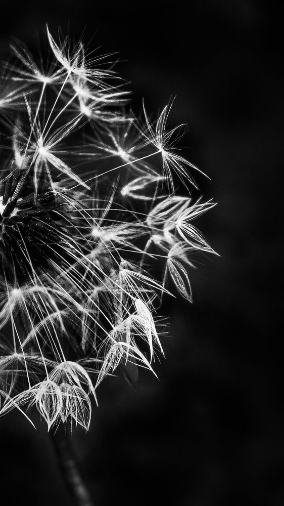 Photograph by Farzad Ajori