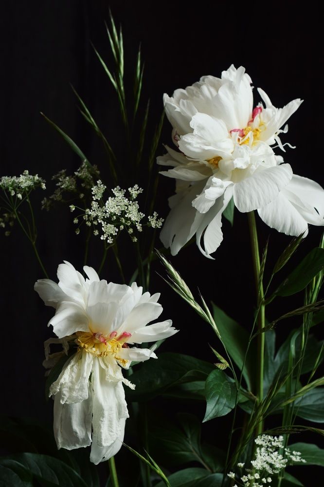 Photograph by Екатерина Долова