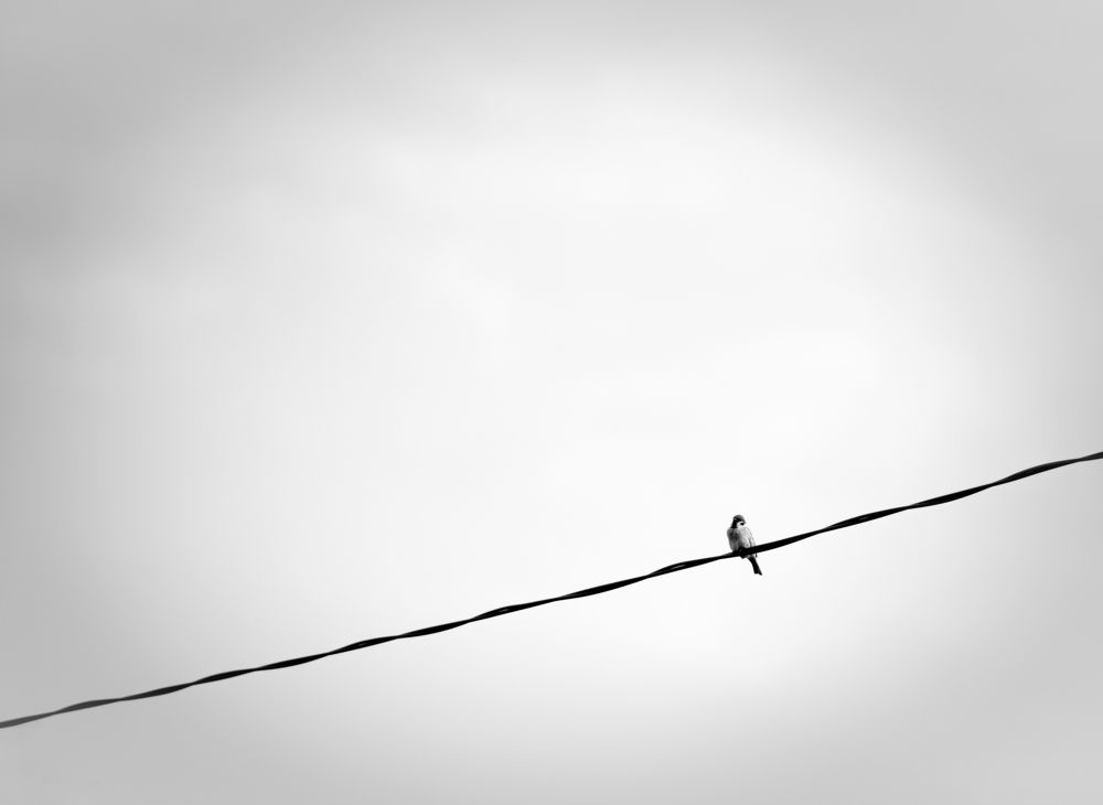 Photograph by Александр Купцов