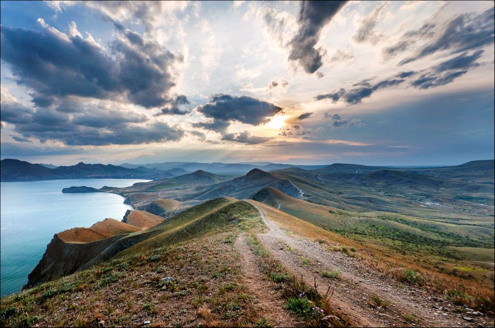 Фотография автора Васильева Дарья
