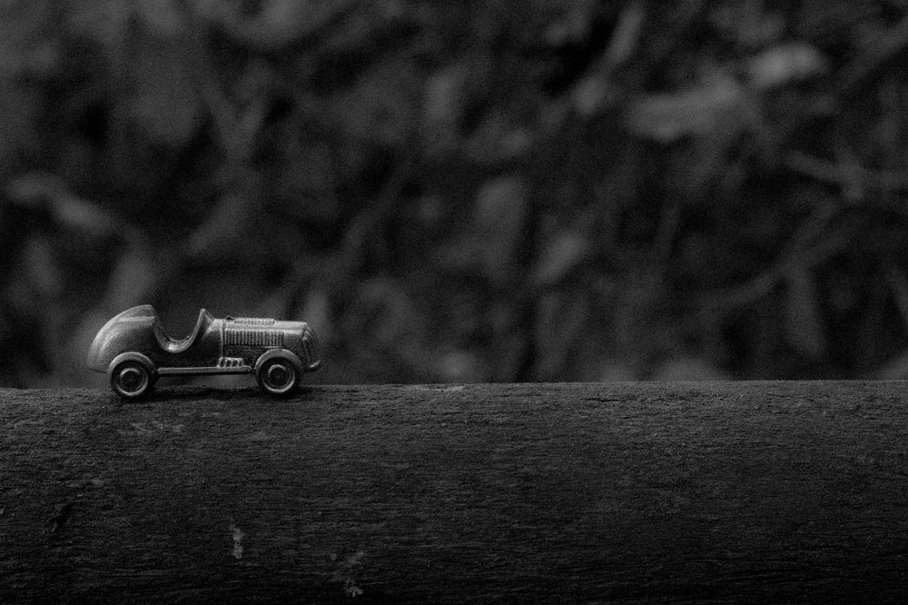 Фотография автора АНАСТАСИЯ ЛЕВИНА