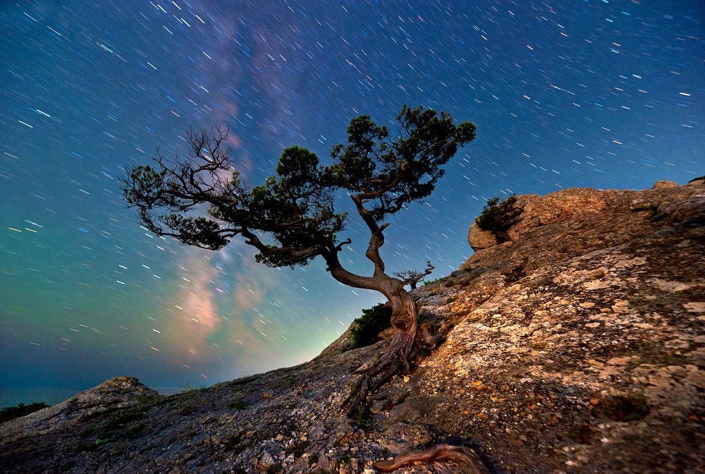 Фотография автора Васильева Дарья