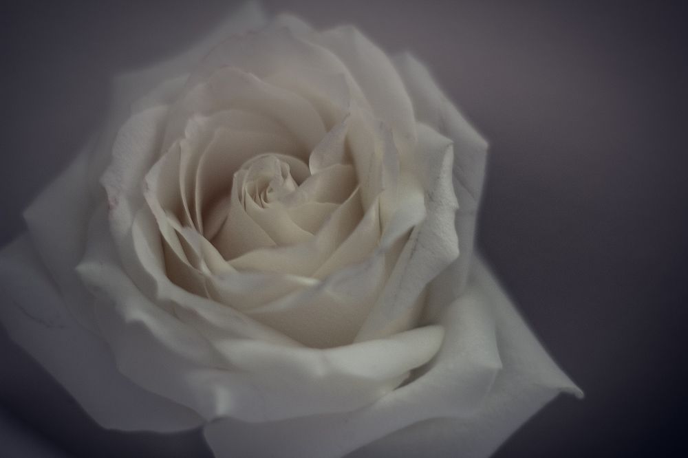 Фотография автора OXANA MARSOVA