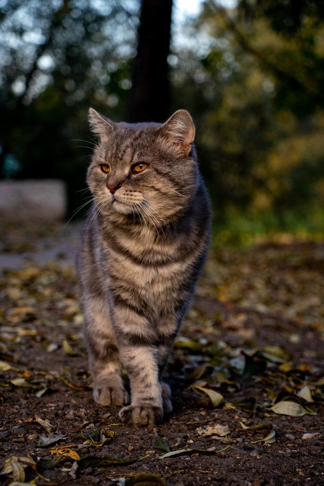 Photograph by Ксения Щукина