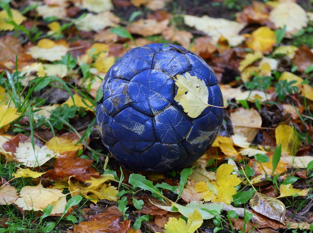 Photograph by Станислав Вершинин