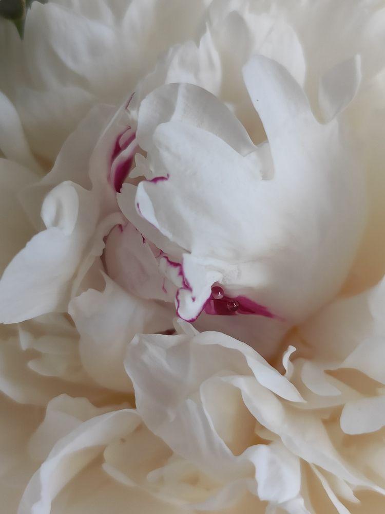 Photograph by Сидорова Ирина