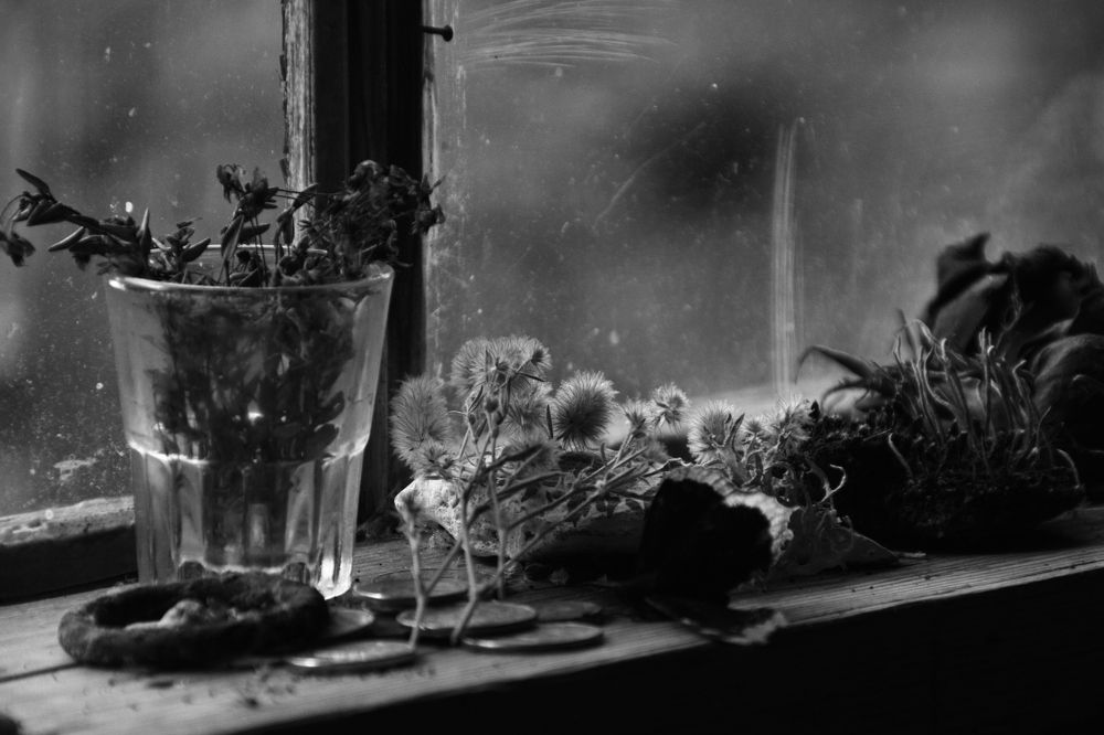 Фотография автора Анастасия Зверева