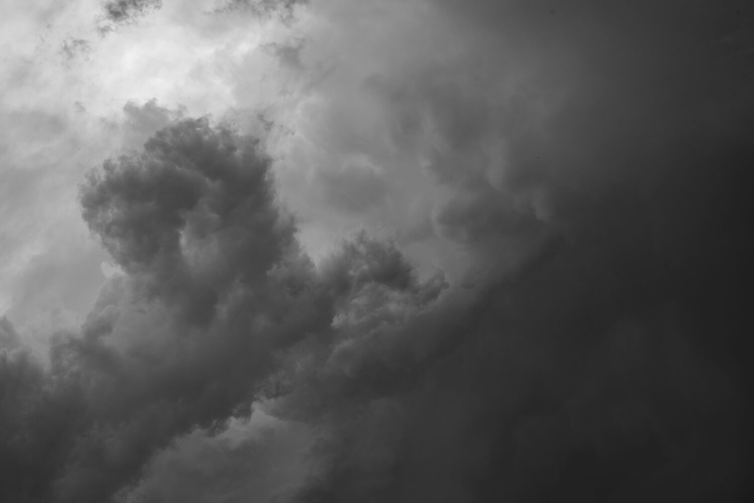 Photo #9638500