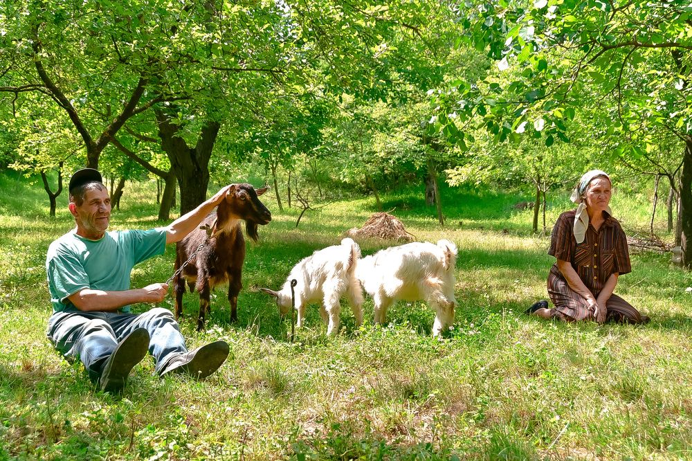 Photograph by Cornei Veaceslav