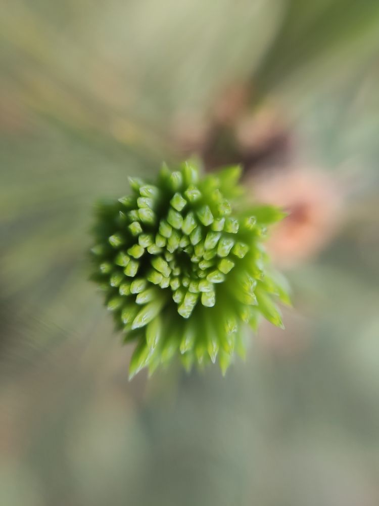 Photograph by Сидорова Ирина