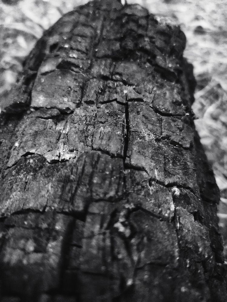 Photograph by Сидорова Ирина