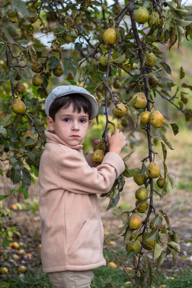 Варлам с грушами