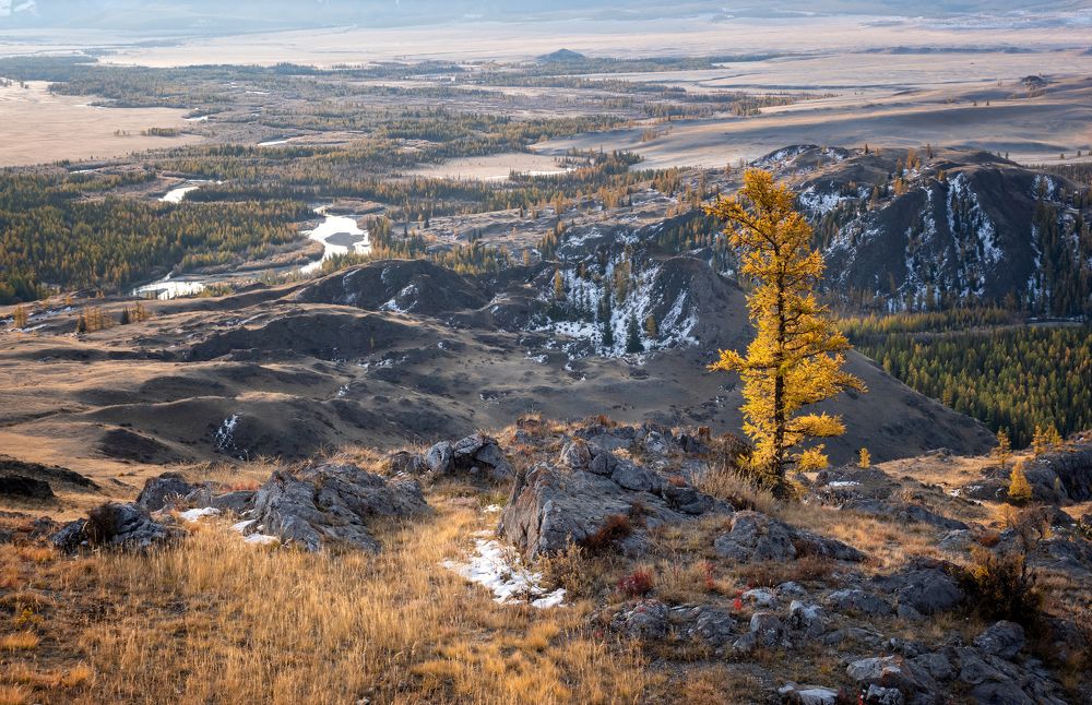 Фотография автора Александр Рудный