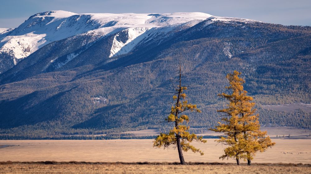 Фотография автора Александр Рудный