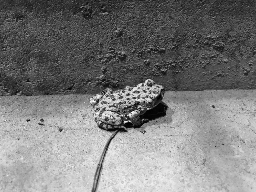 Photograph by Zulfira