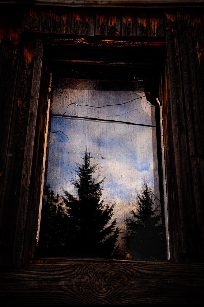 Фотография автора Ирина Гриценко