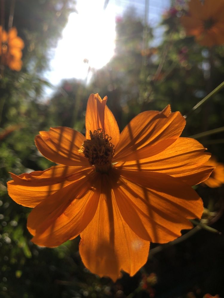 Photograph by Zulfira