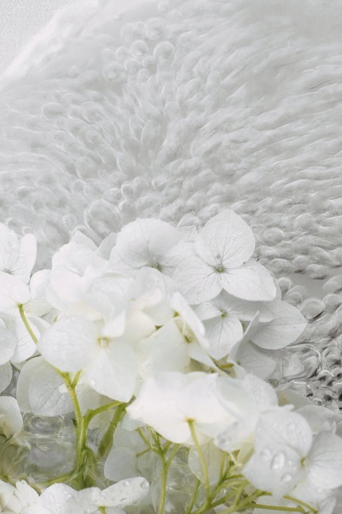 Фотография автора OXANA MARSOVA