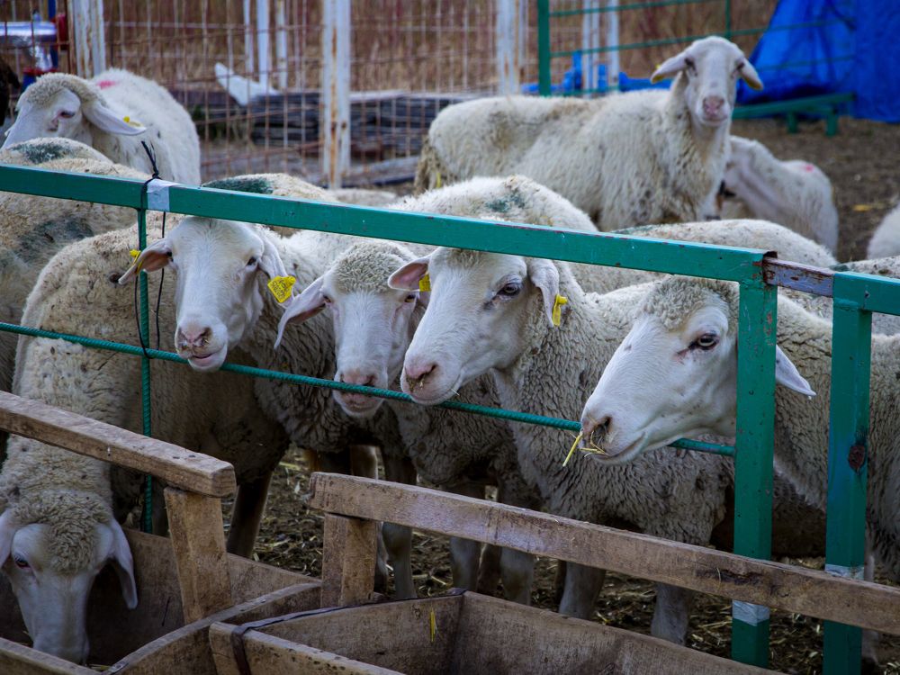 Photograph by Балакин Евгений