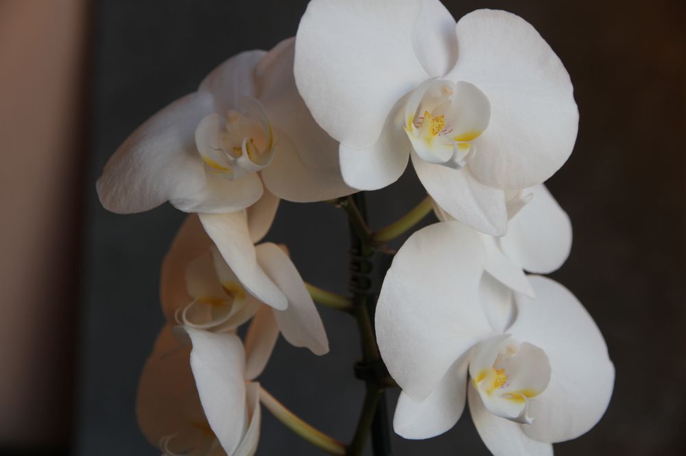 Фотография автора Татьяна Савранчук