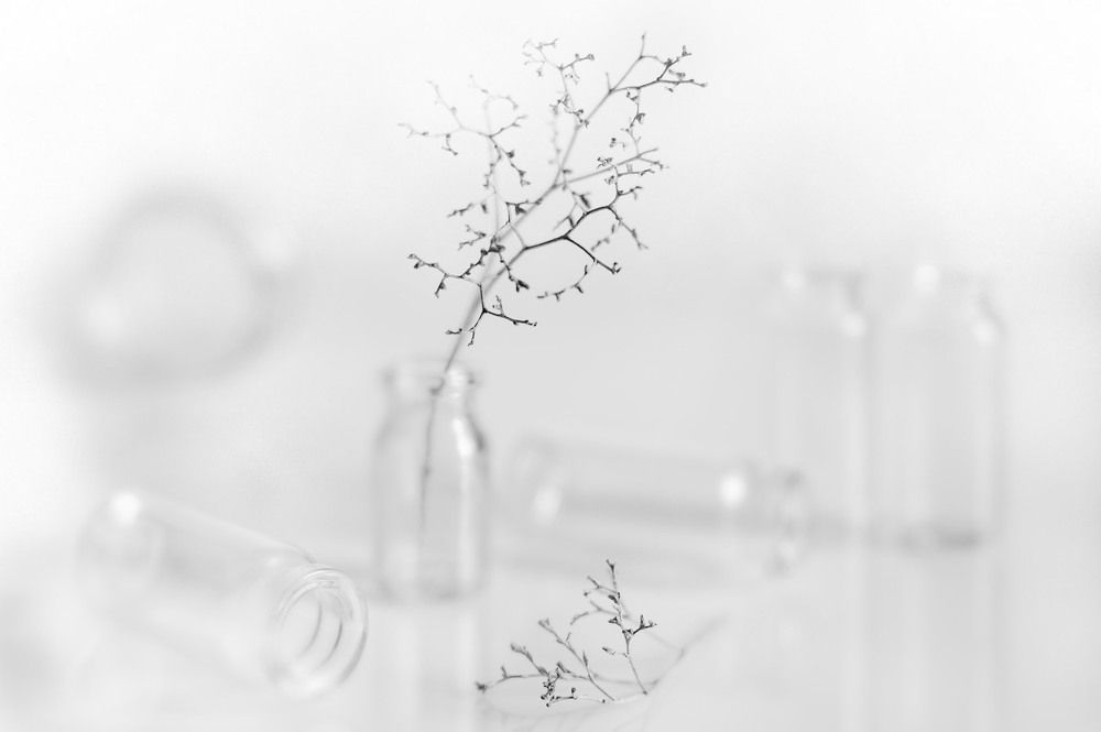 Photograph by Владимир Тузлай