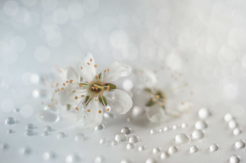 Photograph by Владимир Тузлай