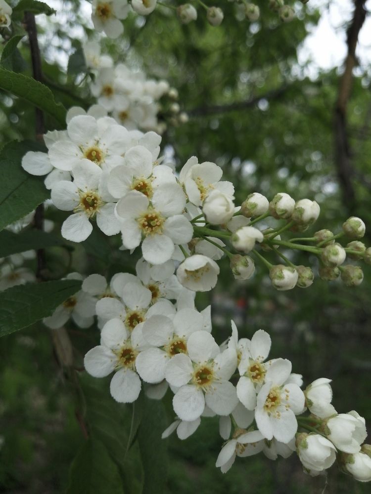 Фотография автора Татьяна Савранчук