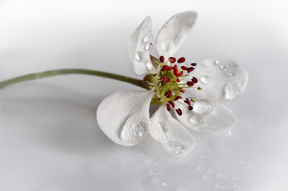 Photograph by Владимир Тузлай