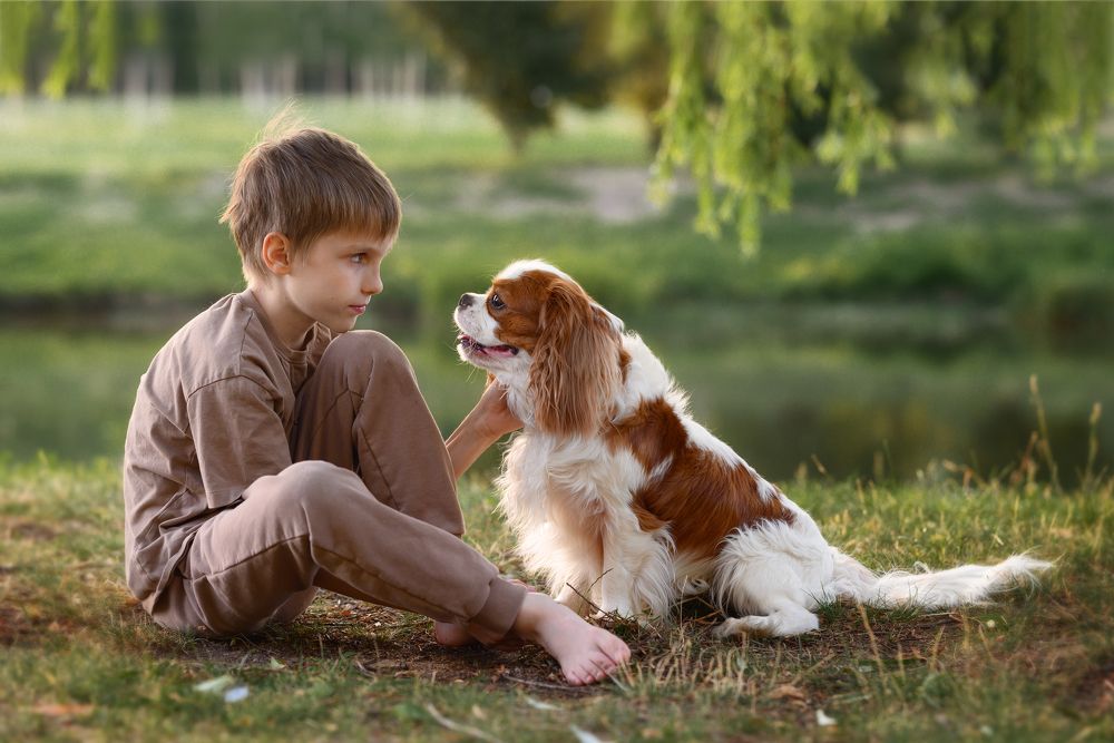 Photograph by Дарья Кончакова