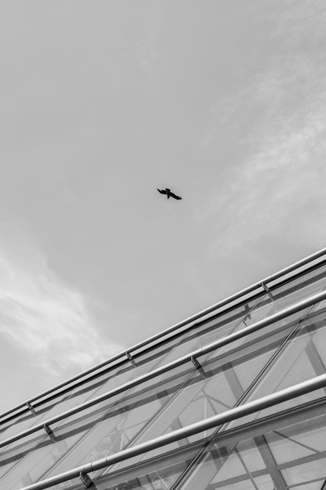 Photograph by Борис Булыгин