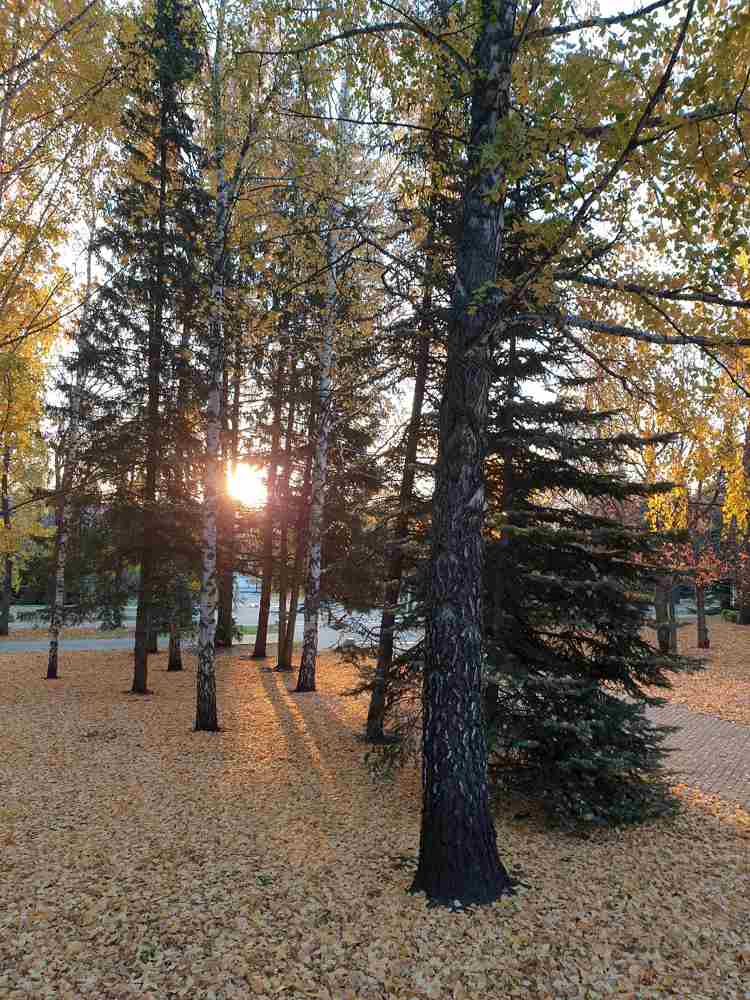 Осенний парк