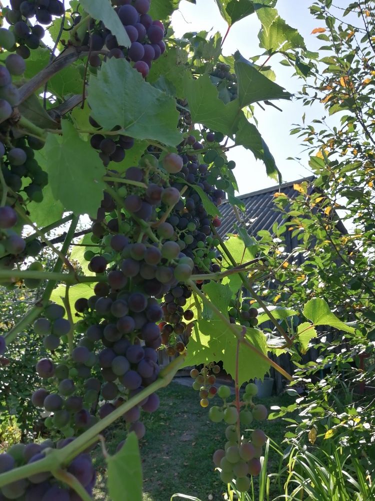 Фотография автора Татьяна Савранчук