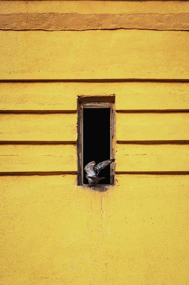 Фотография автора Александр