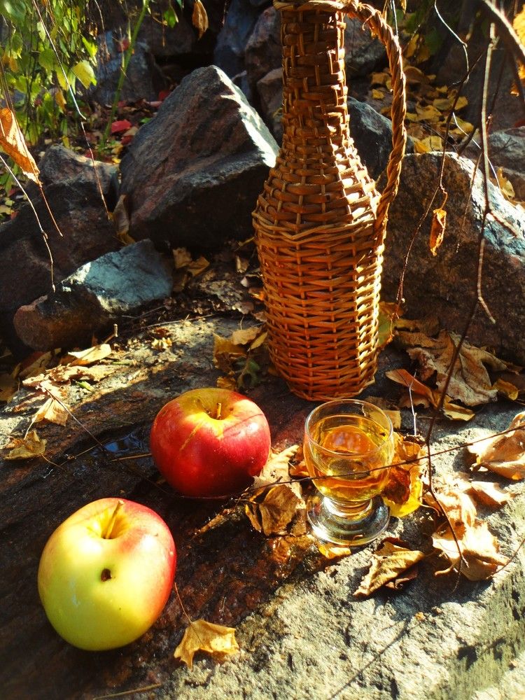 Photograph by Дмитрий Соколов