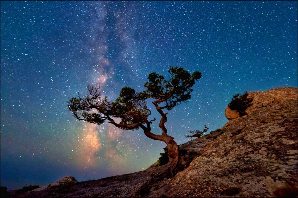 Фотография автора Васильева Дарья