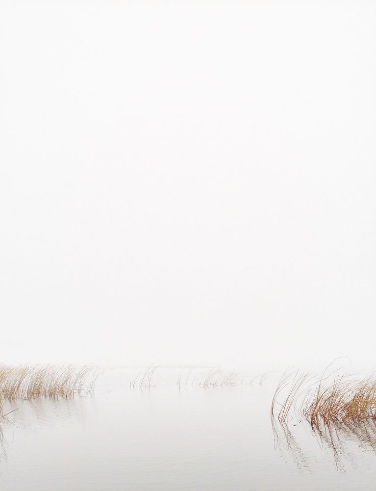 Туманное утро над рекой