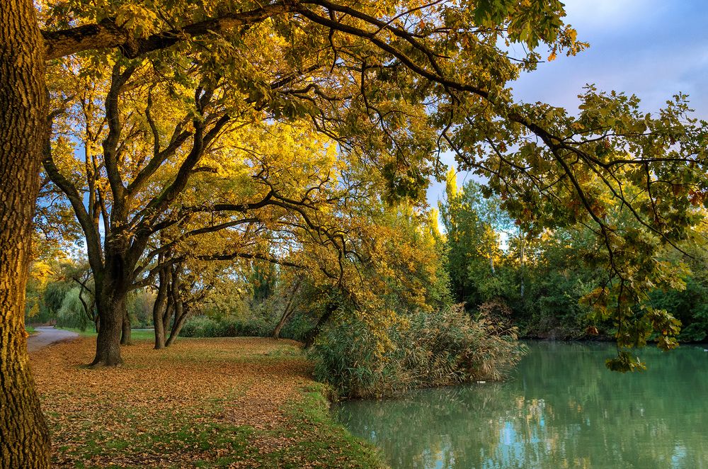 Фотография автора Сергей Павлов