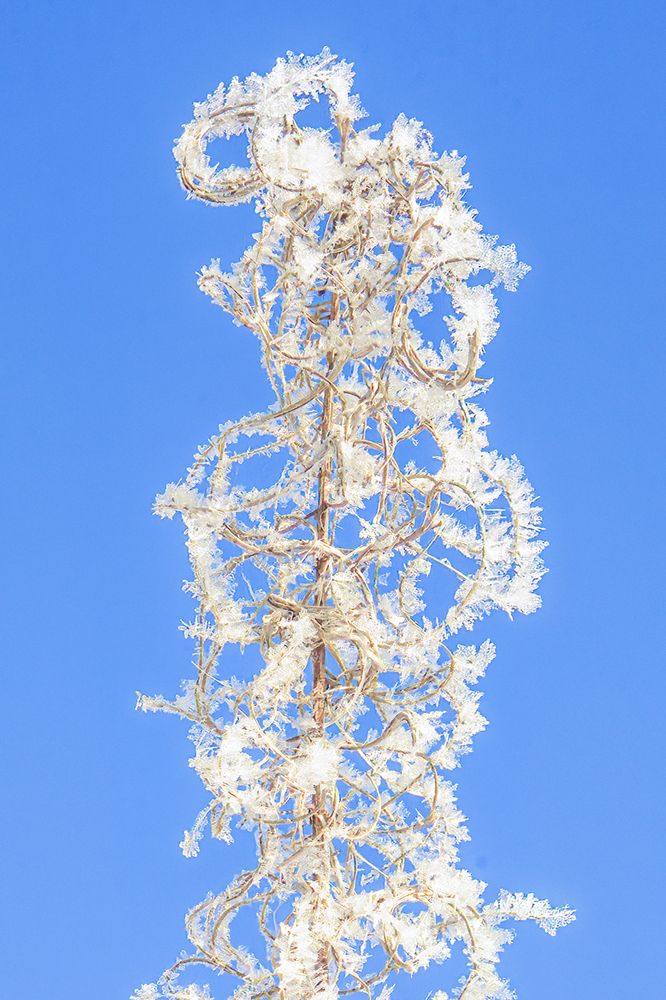 Photograph by Юрий Спасенников