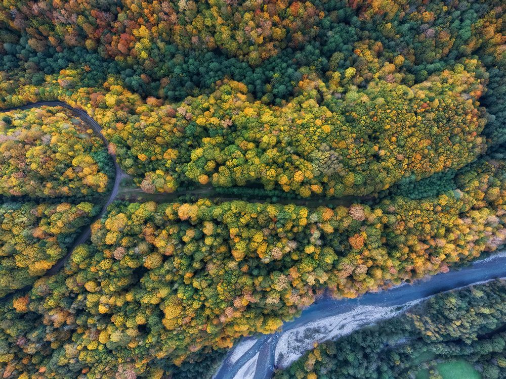 Фотография автора Сергей Павлов