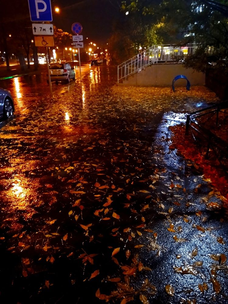 По бульвару бродит осень....