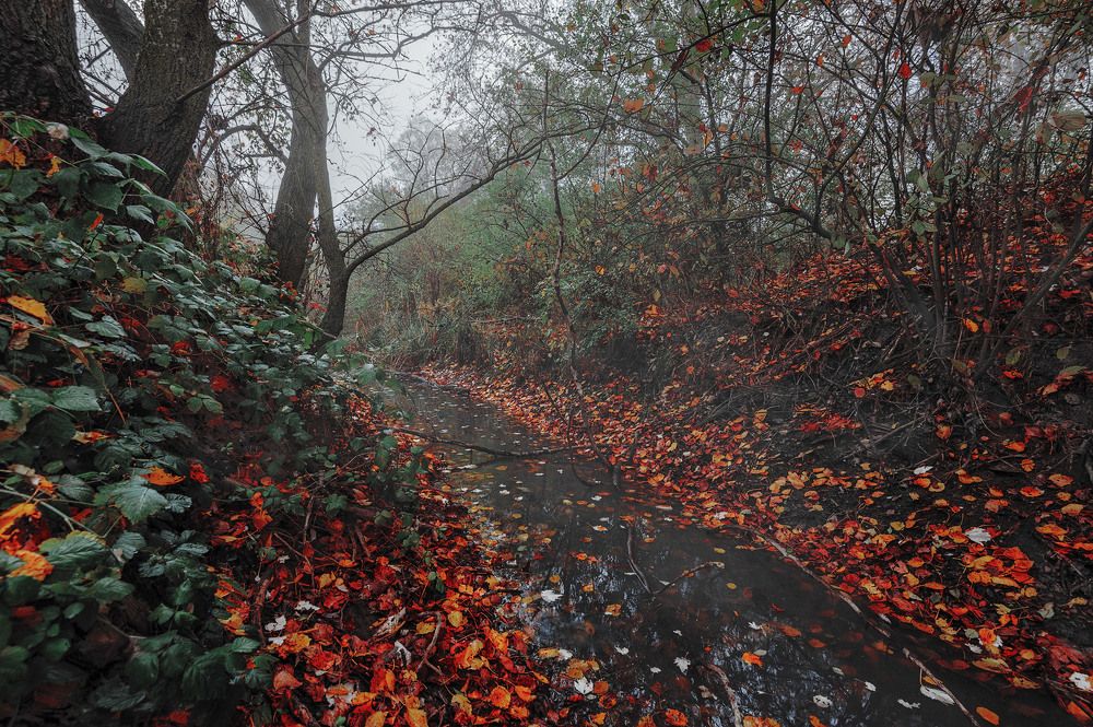 Photograph by Владимир Тузлай