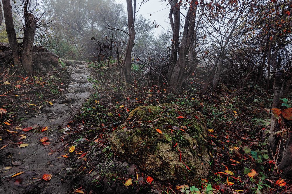 Photograph by Владимир Тузлай