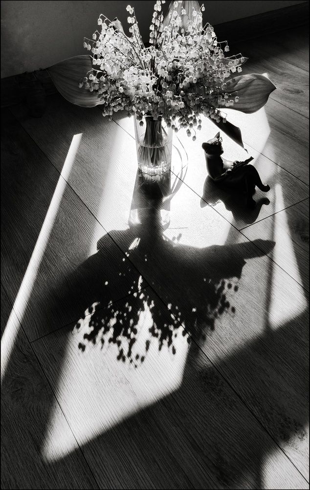 Photograph by Васильева Дарья